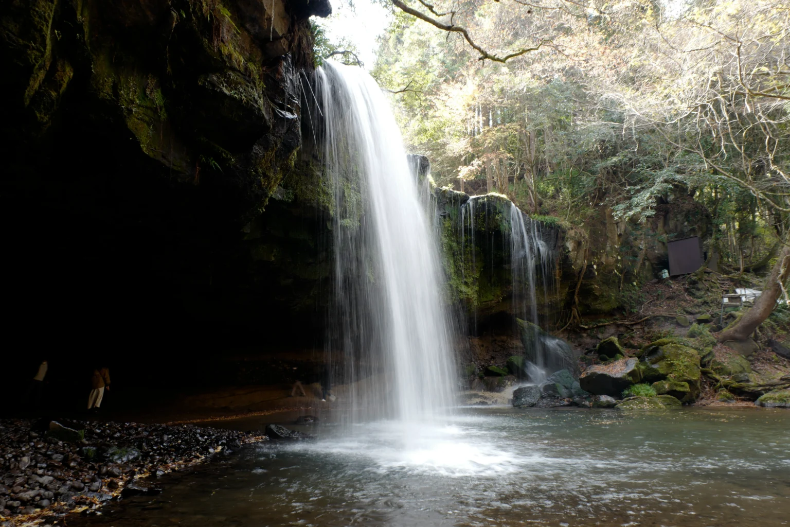 Nabegataki Falls in Kumamoto seen from the side, a wide white curtain of water dropping from a dark overhanging lava shelf into a shallow pool, with the mossy cave mouth visible behind it