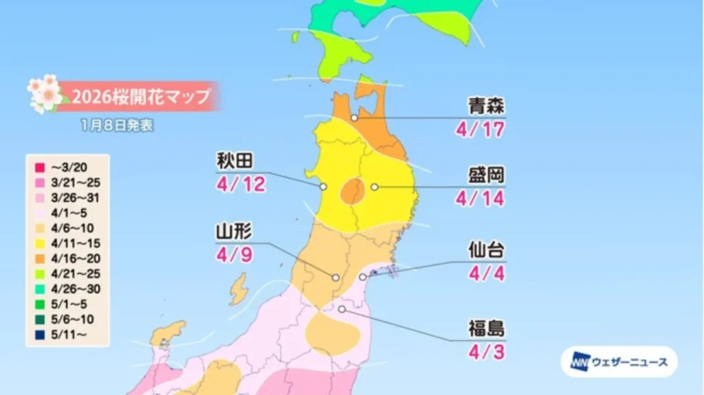 Japan Cherry Blossom Forecast 2026: Sakura Season Guide
