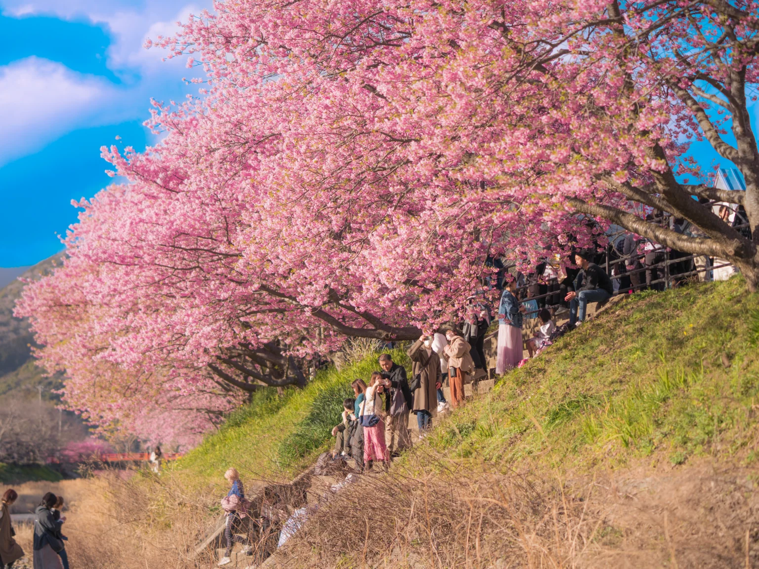 DSC0323-1536x1153.webp