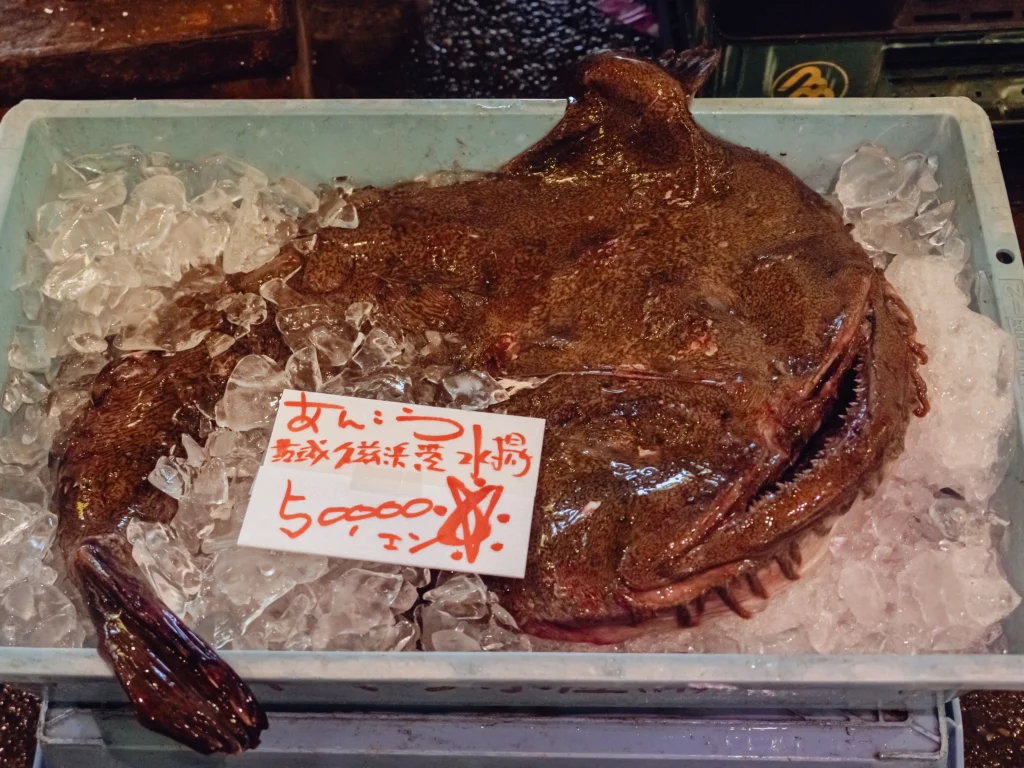 Winter Specialty, Anko 