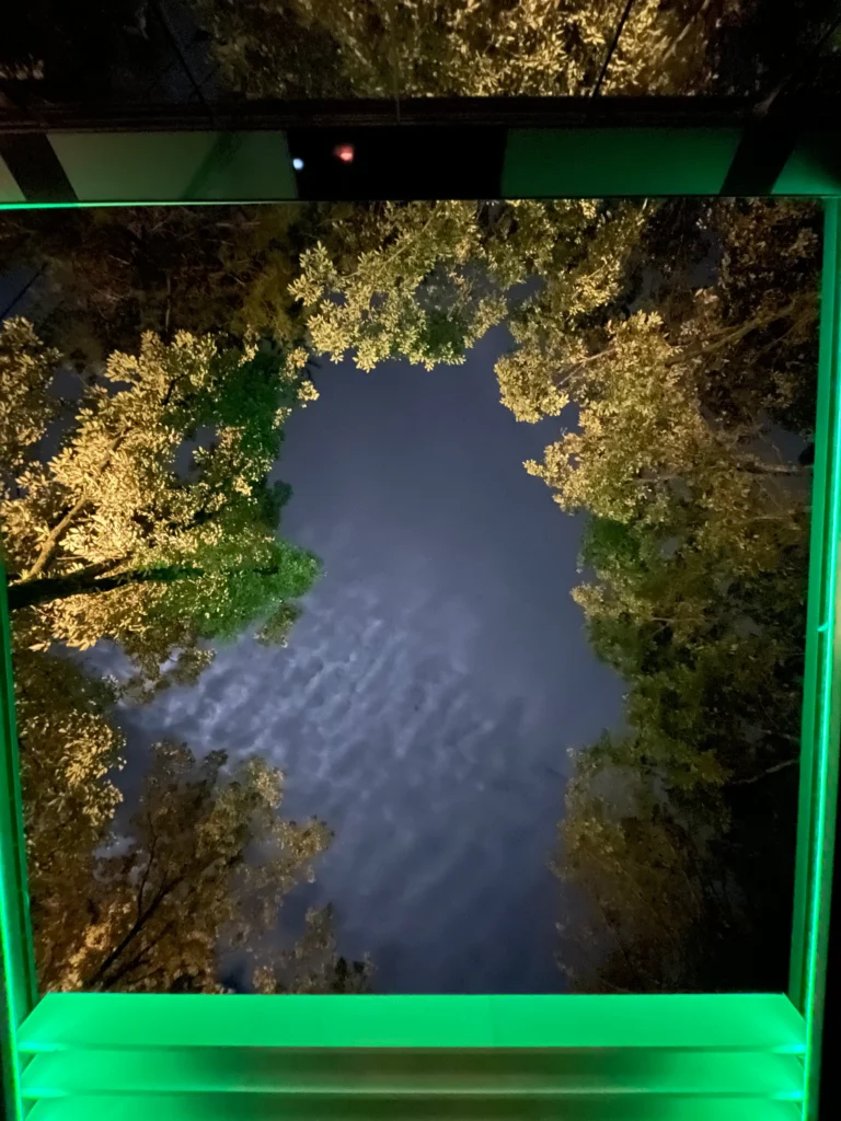 Night view through the glass ceiling of Hikari no Hako room showing illuminated trees and sky at COMOREBI Yufuin.