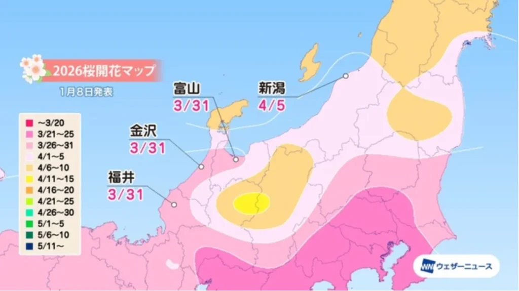 2026 Cherry Blossom Forecast Map for the Hokuriku region, including Kanazawa and Niigata.