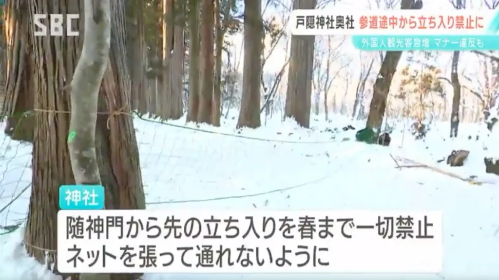 Nets installed between the ancient cedar trees at Togakushi Shrine to prevent visitors from entering the closed area.
