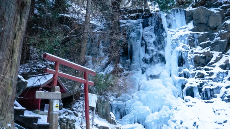 The completely frozen Haha no Shirataki waterfall in winter, with its red torii gate, a sacred power spot near Mt. Fuji.