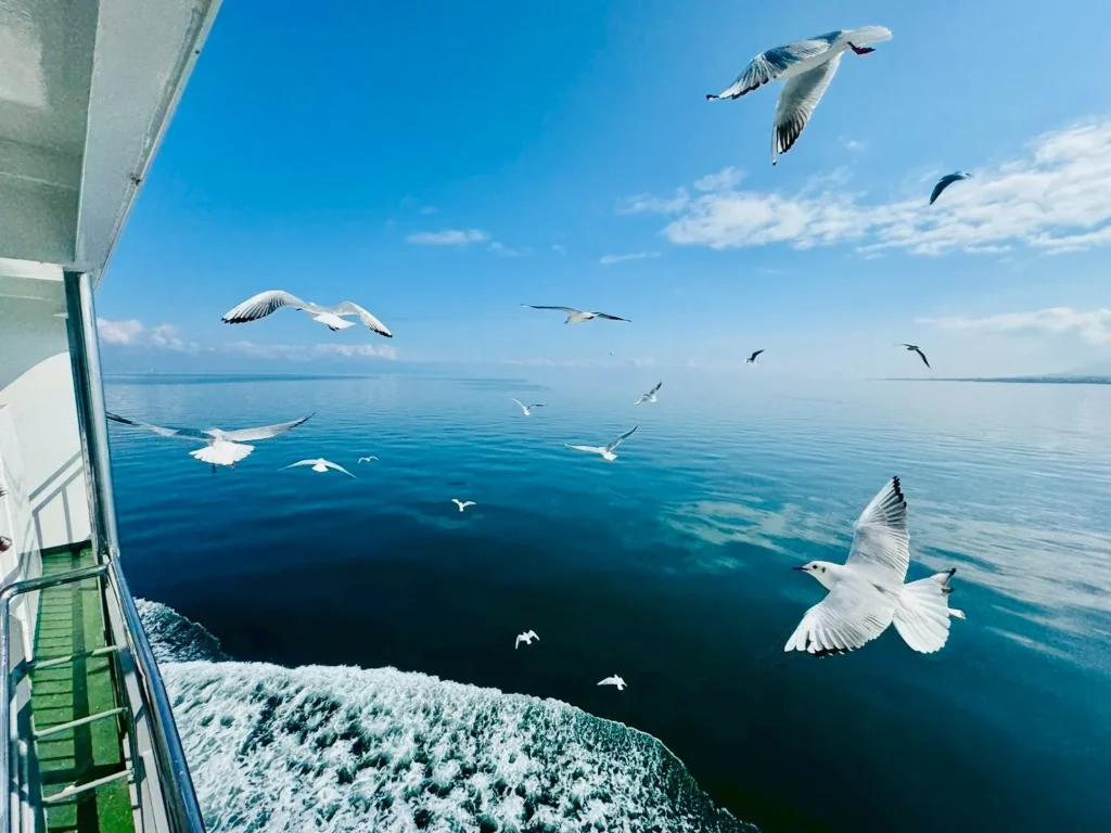 Passengers enjoying the view and feeding seagulls on the open deck of the Ariake Ferry between Kumamoto and Nagasaki.