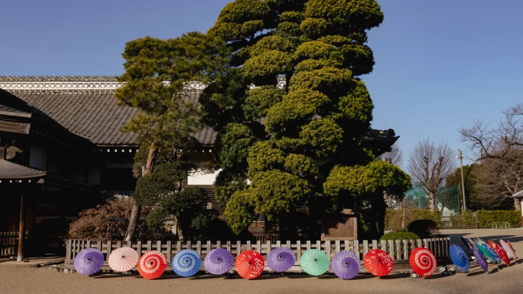 The spacious and serene main hall (Ohiroma) of the Honmaru Goten.