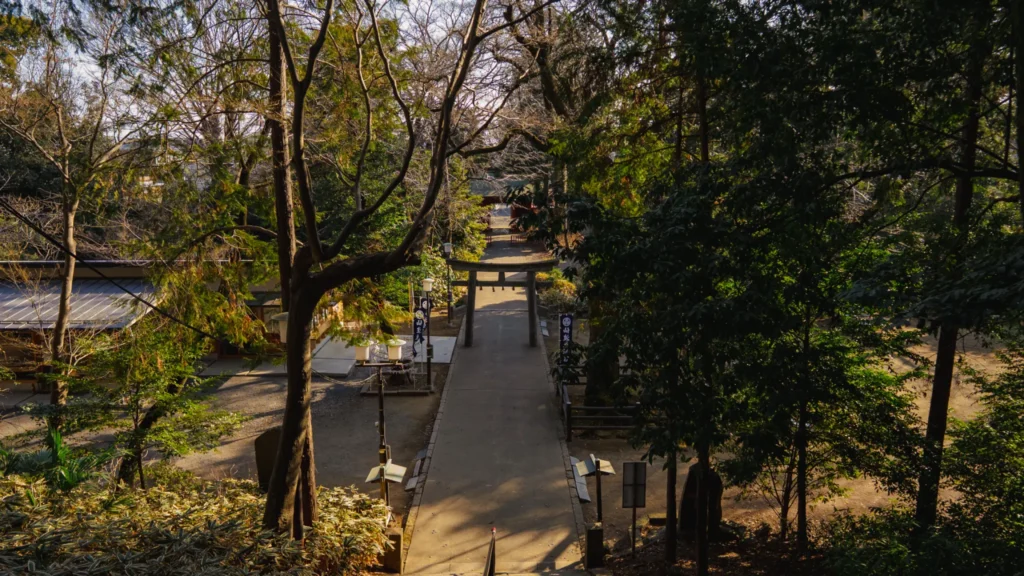 The path leading up to the main shrine, lined with historic stone lanterns under the trees.