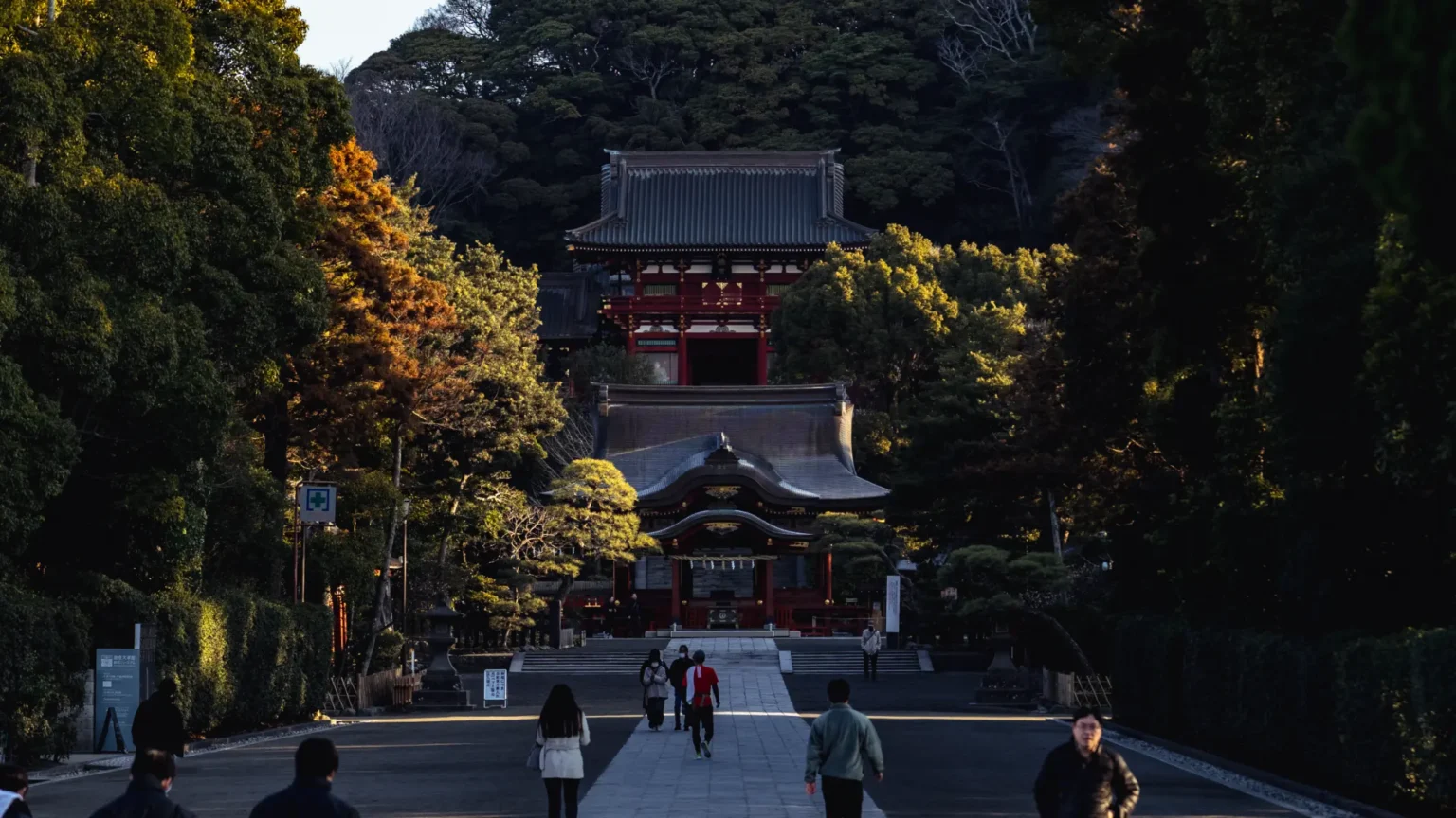 The main approach to Tsurugaoka Hachimangu in the quiet, golden light of early morning, with long shadows stretching across the path.