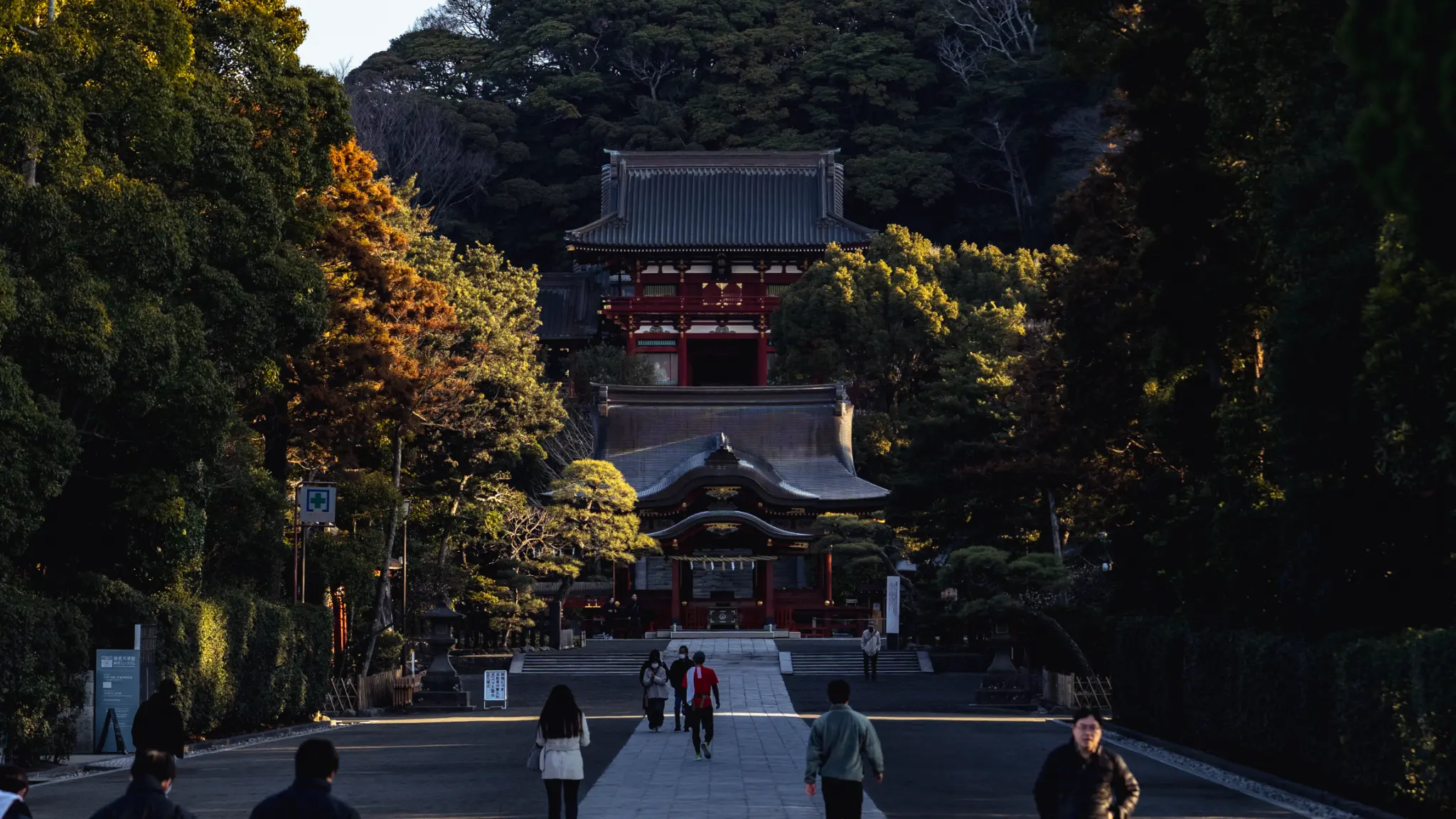 The main approach to Tsurugaoka Hachimangu in the quiet, golden light of early morning, with long shadows stretching across the path.