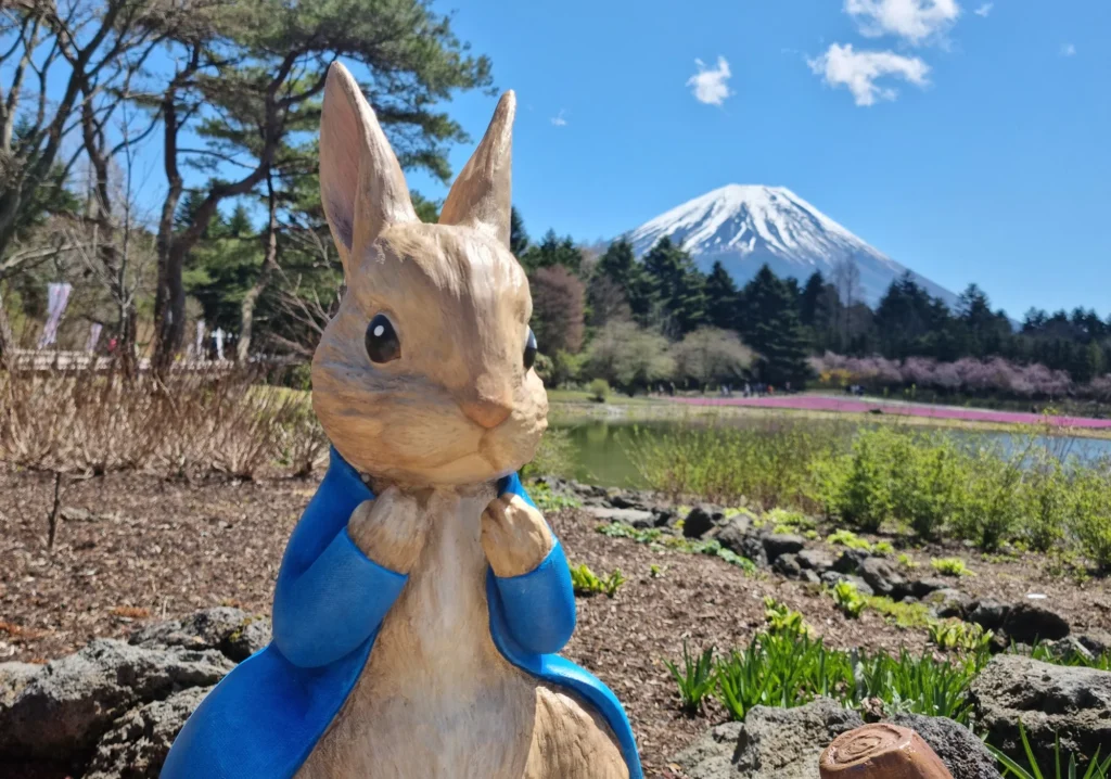 A statue of Peter Rabbit with Mt. Fuji and the shibazakura fields in the background.