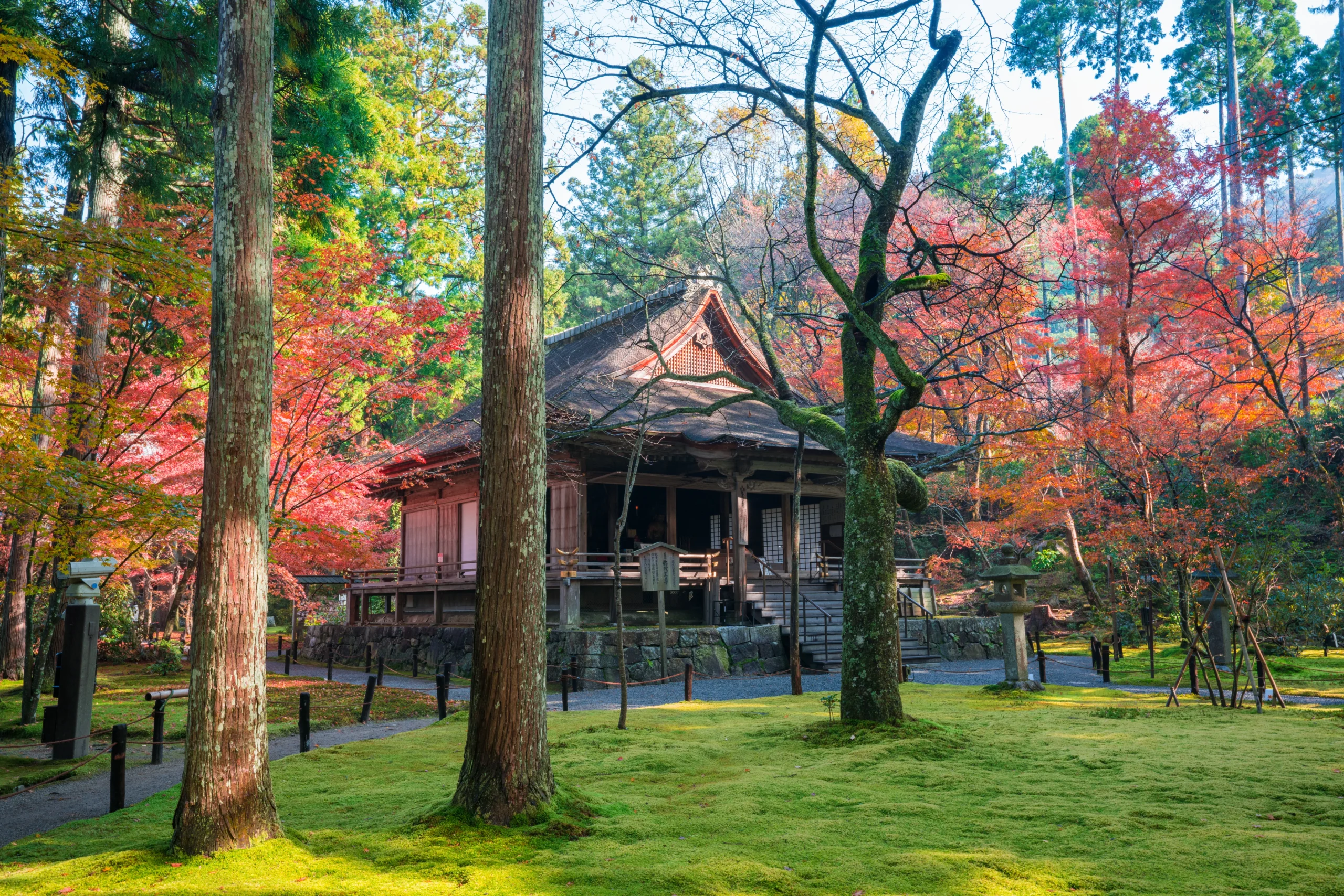 A traditional Japanese temple building with a mossy garden and colorful autumn leaves.