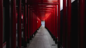 A Full Day in Fushimi: Sake Breweries, Ryoma's Legacy & the Waterway That Connects It All