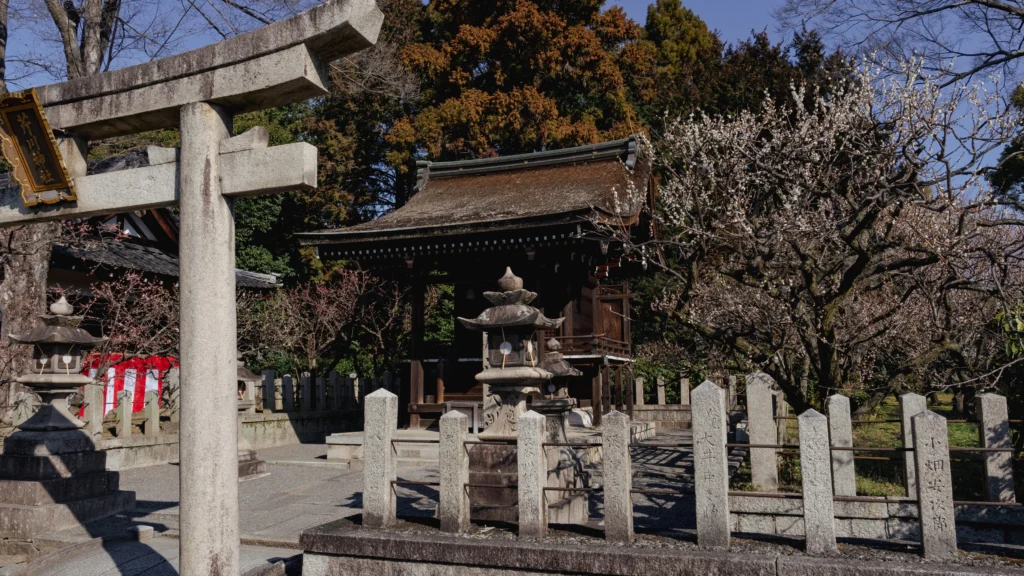 A subsidiary shrine (Serikawa Shrine) at Jonangu with white plum blossoms in bloom, framed by a stone torii gate and traditional stone lanterns.