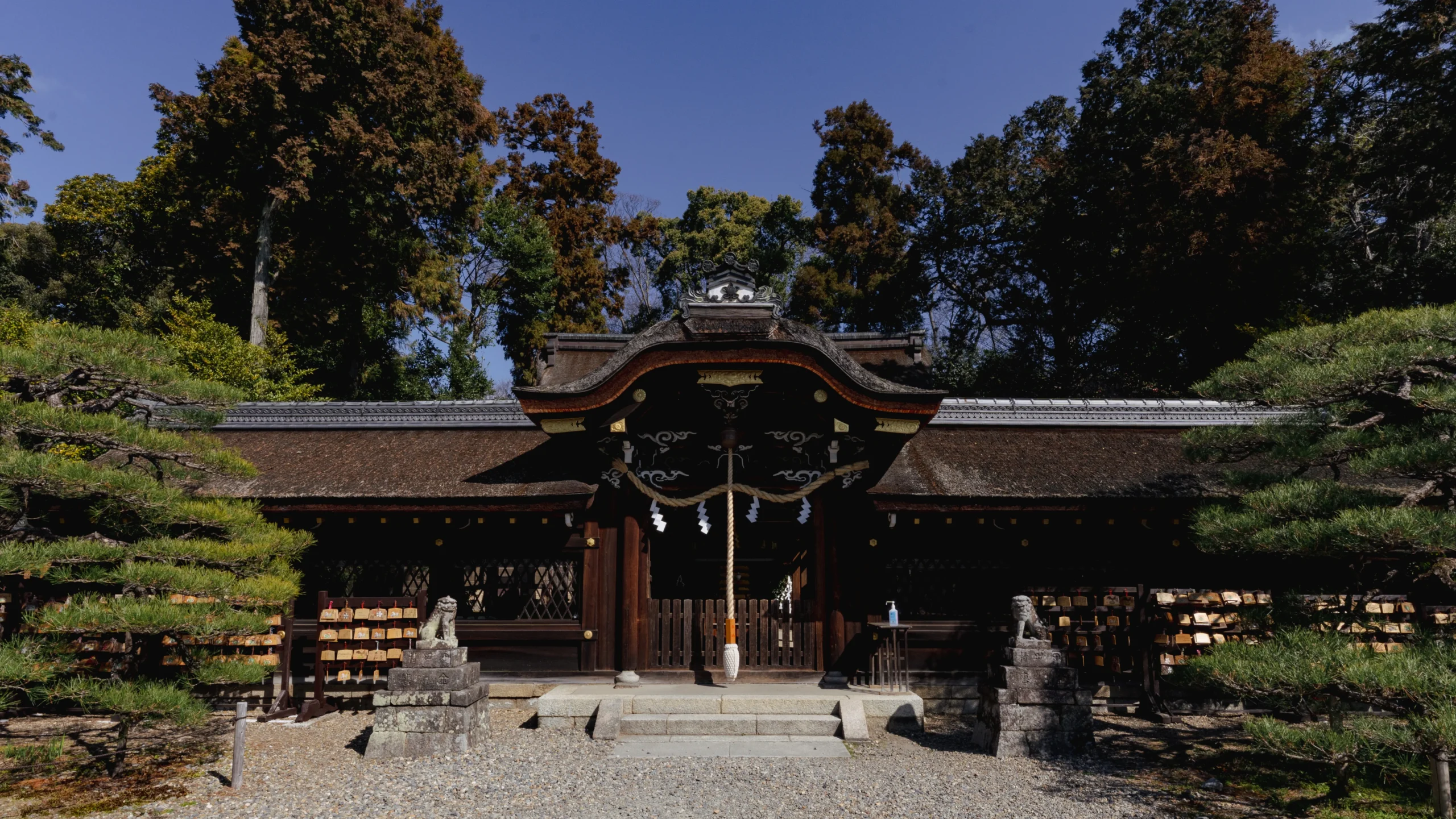 Umenomiya Taisha: Kyoto’s Hidden Gem for Sake, Cats, and Blessings