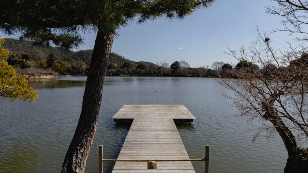 A panoramic view of the serene Osawa Pond, reflecting the surrounding trees and sky.