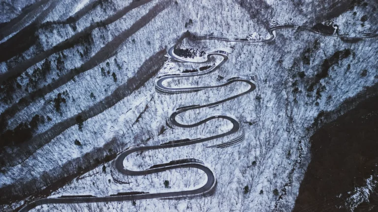 Your Ultimate Nikko Winter Travel Guide: Snow, Monkeys, and Onsen