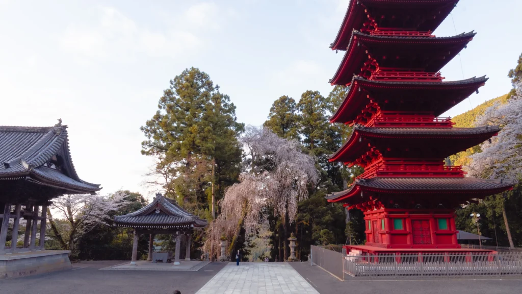 Wide view of Minobusan Kuonji temple compound with bell tower, cherry trees, and five-story pagoda