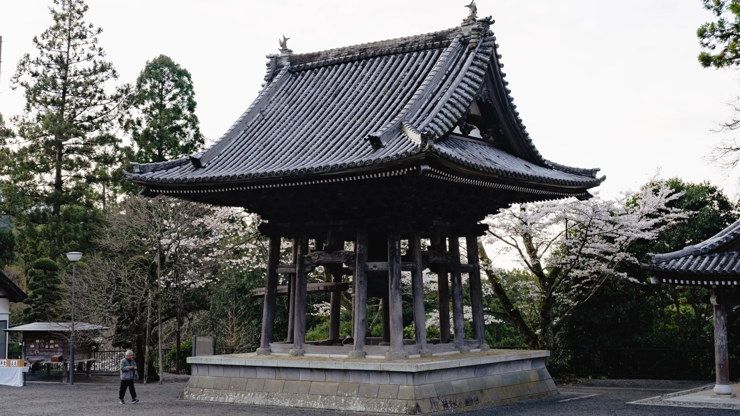 Kuonji's 5 AM Bell: A Traveler's Guide to Morning Prayers at Minobusan