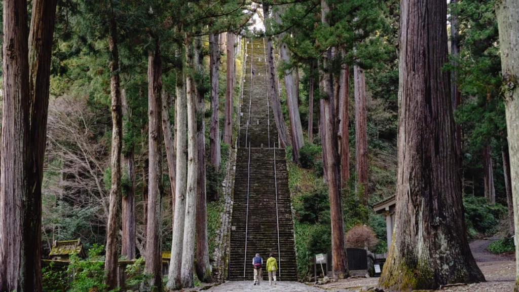 Two visitors at the base of Kuonji's Bodaiti stairway, 287 stone steps flanked by towering cedar trees