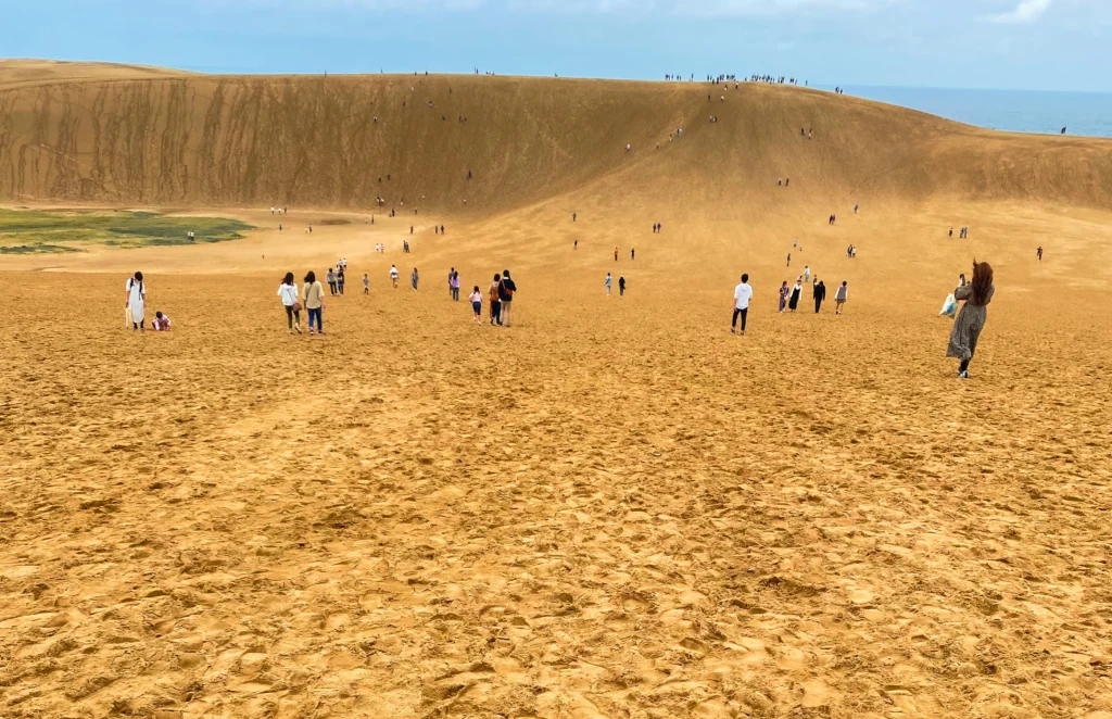 Visitors walking across the flat sandy expanse toward the Umanoze ridge at Tottori Sand Dunes