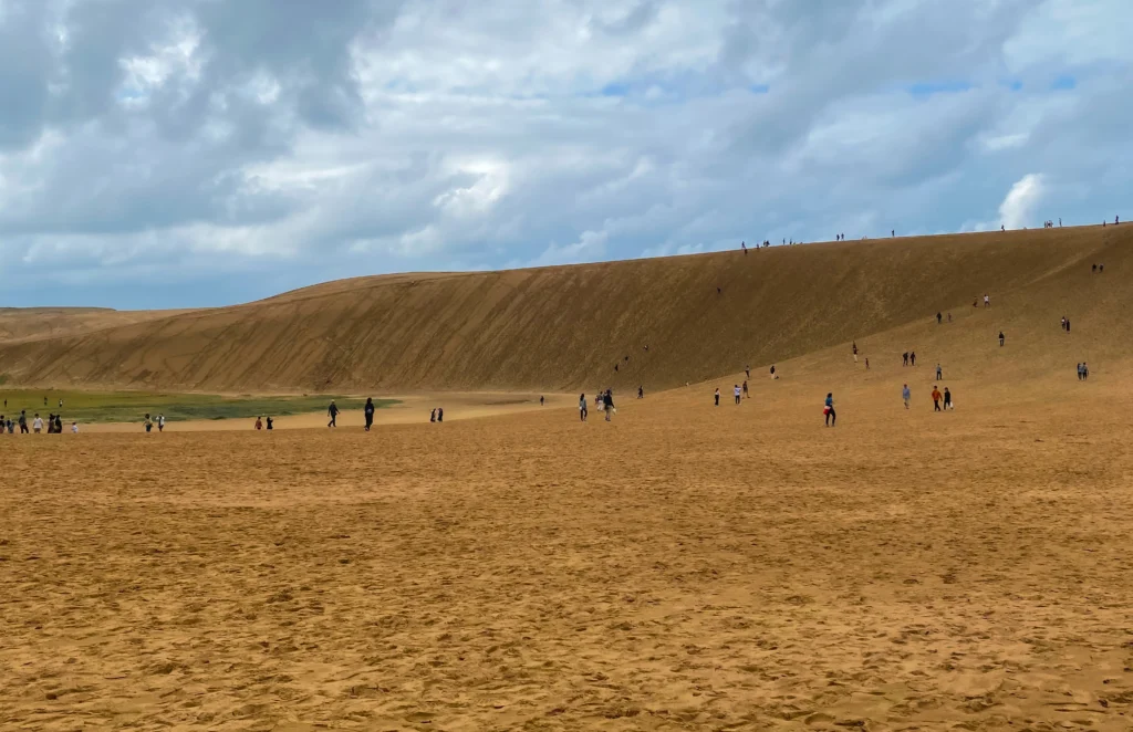 Wind-carved striations on the main dune ridge slope with visitors walking across the flat area below