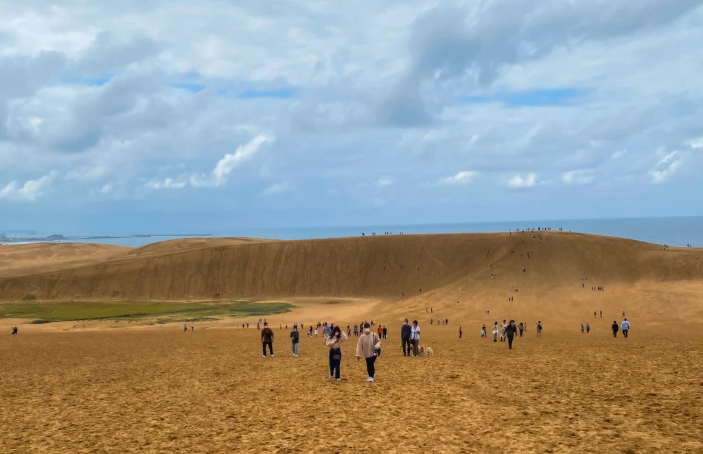 Wide view of the Tottori Sand Dunes showing the main ridge, Sea of Japan, and green vegetation at the base