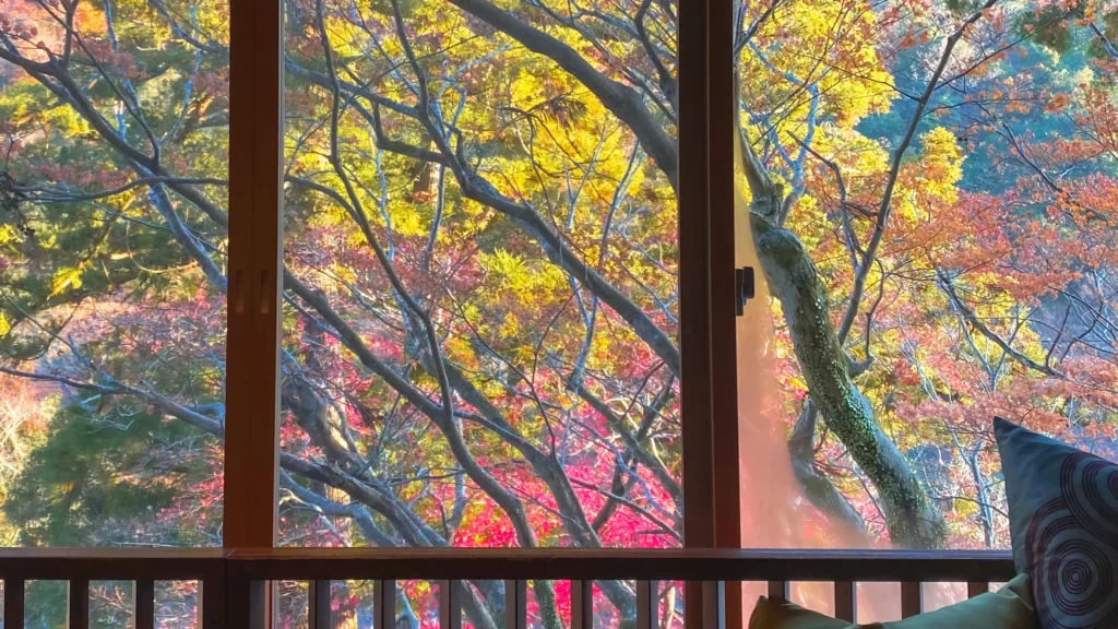 A close-up view through the room window showing a vivid canopy of autumn maple leaves with a painterly atmosphere.