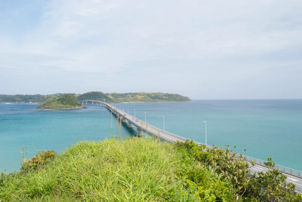 Elevated view from Amigase Park observation point showing the full curved length of Tsunoshima Ohashi Bridge extending from the foreground across turquoise water to Tsunoshima island on the horizon, with green grassy slopes in the foreground