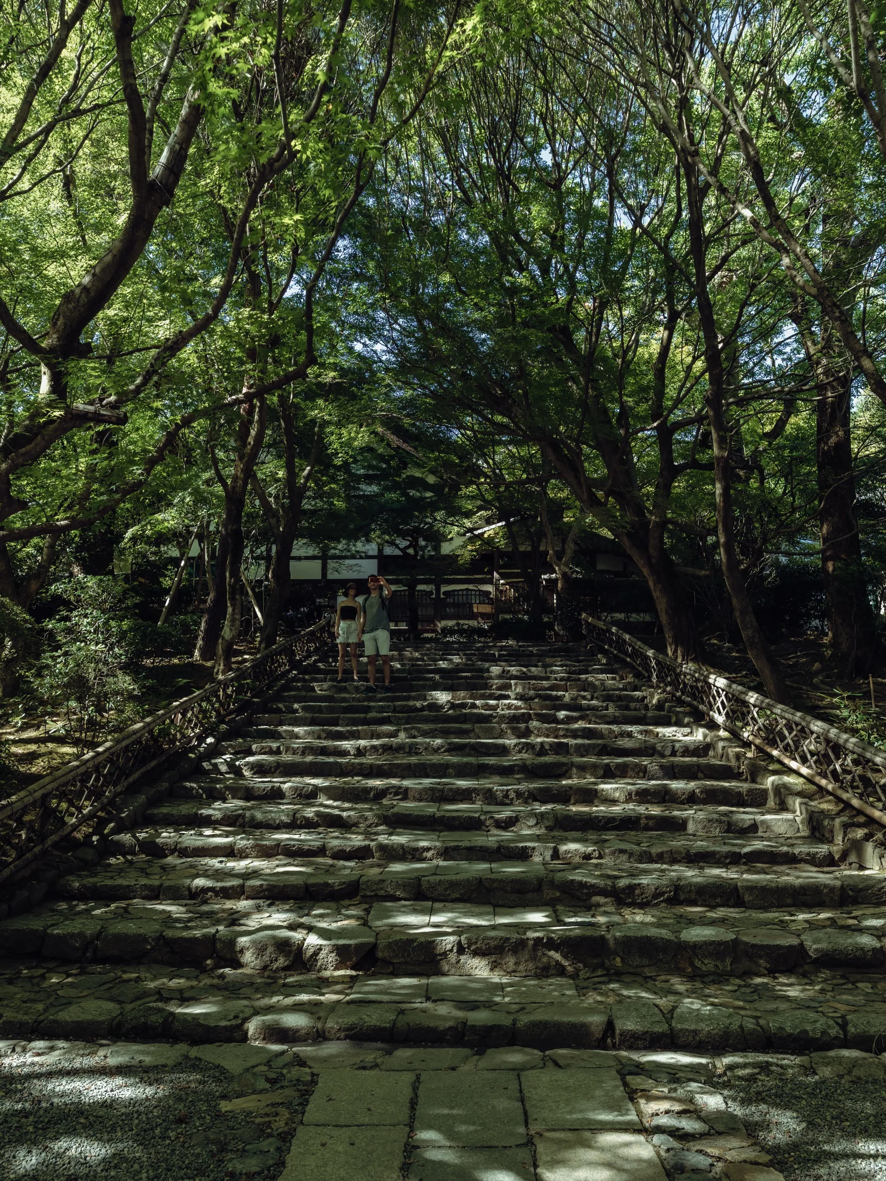 Stone steps at Ryoanji in Kyoto with light through maples