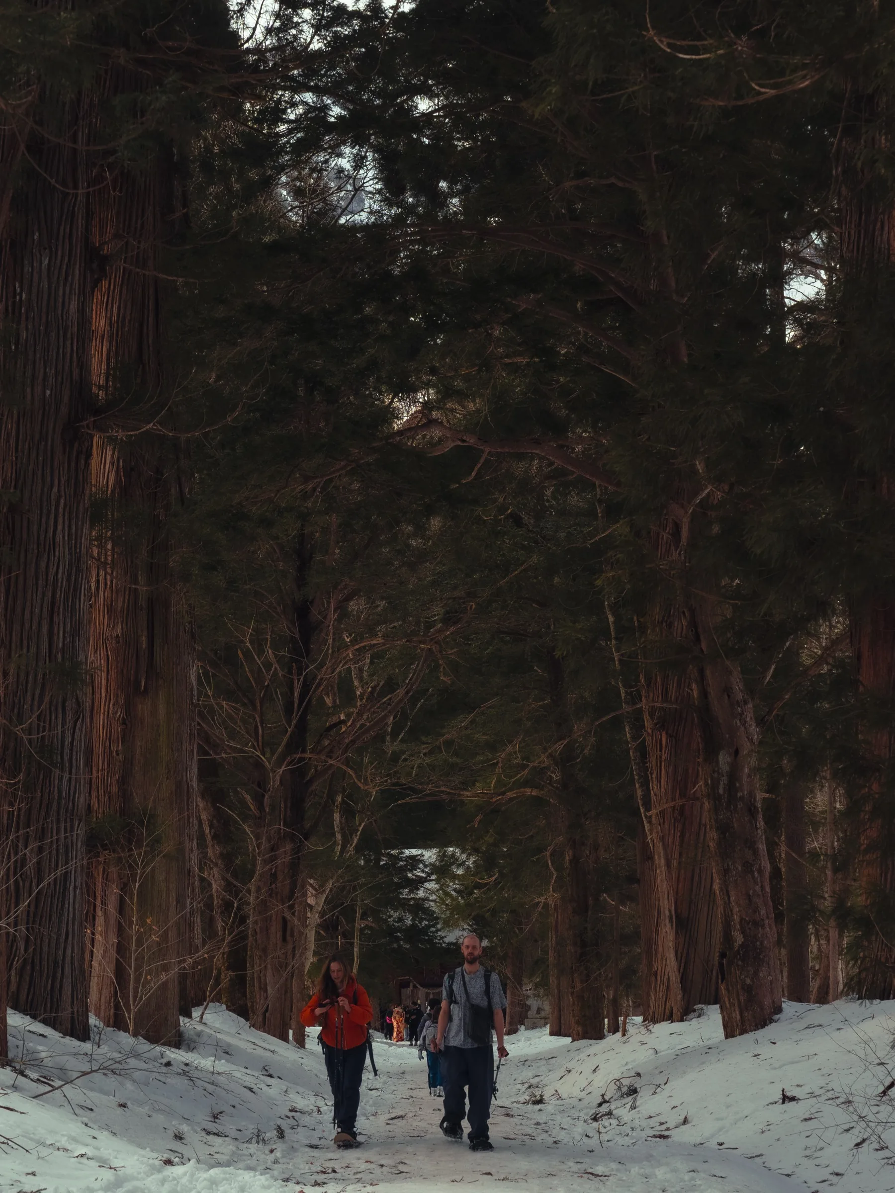 Two travelers walking the cedar avenue at Togakushi Okusha in winter