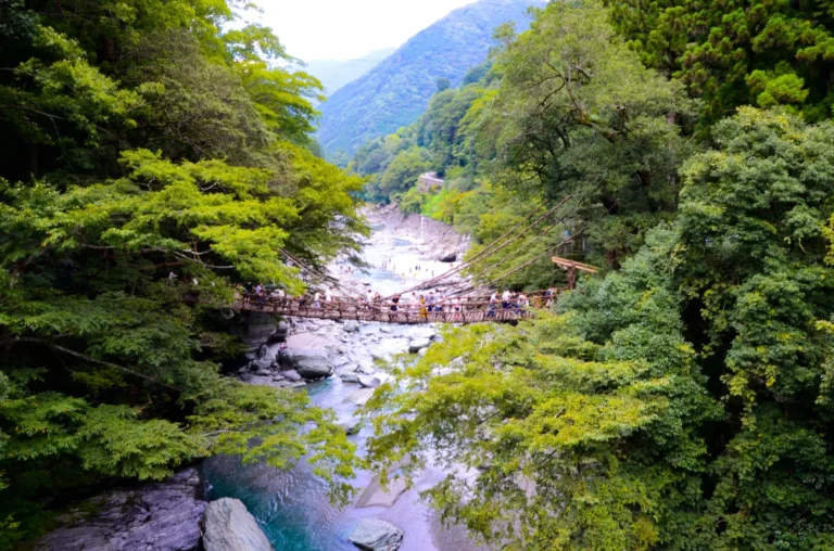Kazurabashi vine bridge spanning a forested gorge in Iya Valley with people crossing slowly