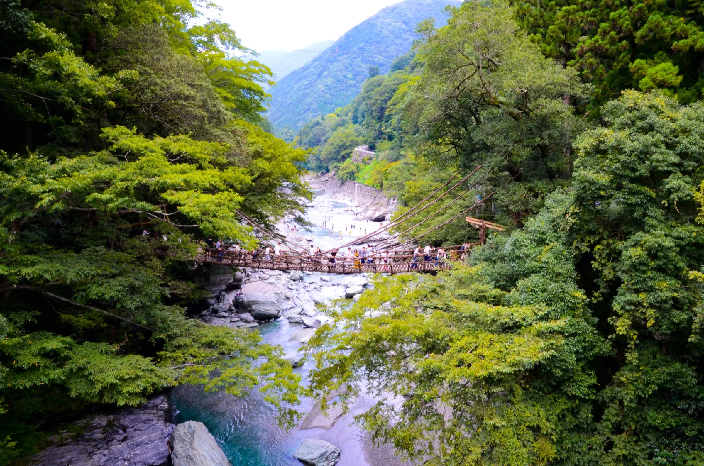 Iya Valley Kazurabashi vine bridge spanning a forested gorge with people crossing slowly