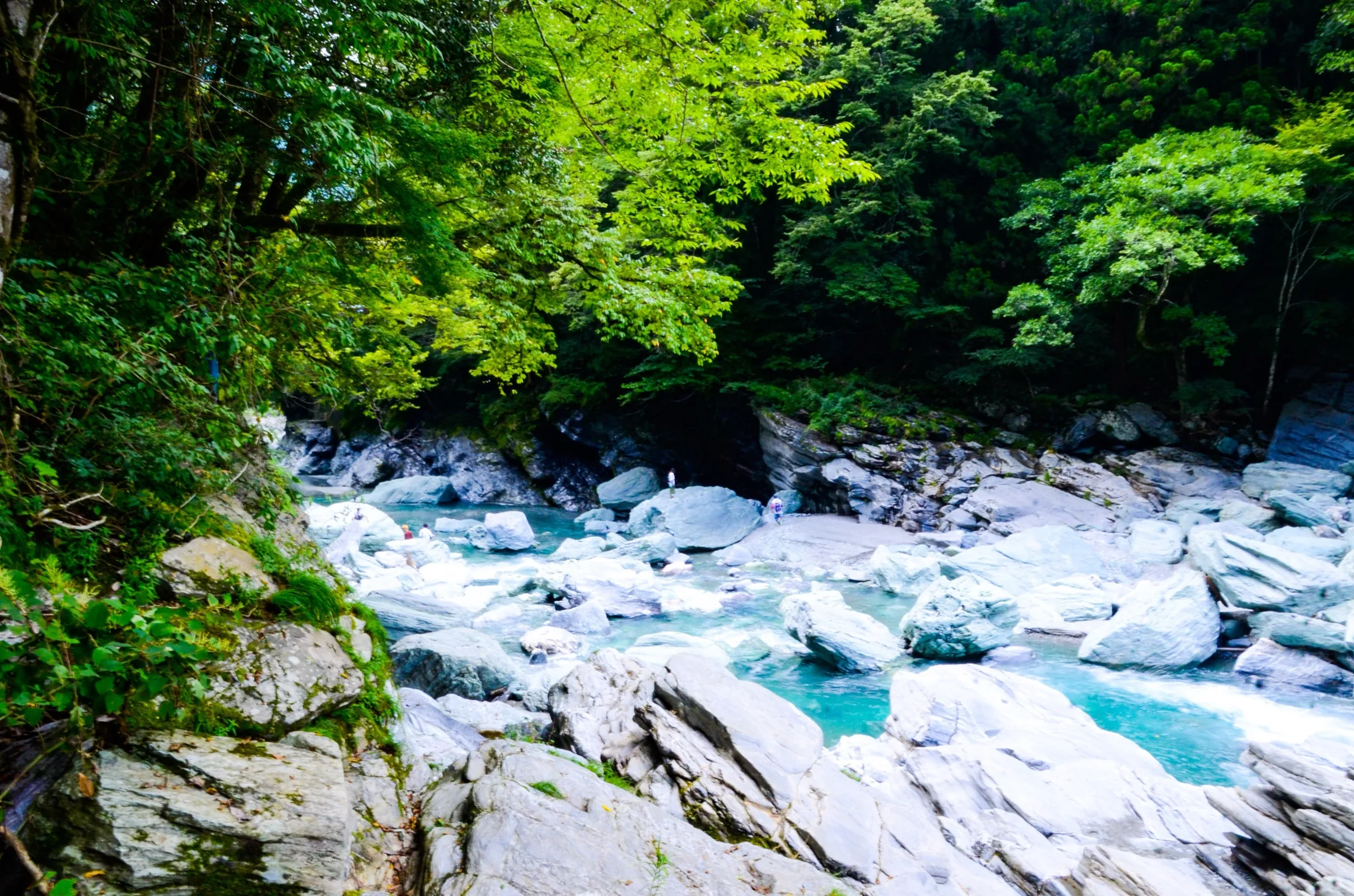 Turquoise river and white boulders in the gorge below the Kazurabashi vine bridge in Iya Valley