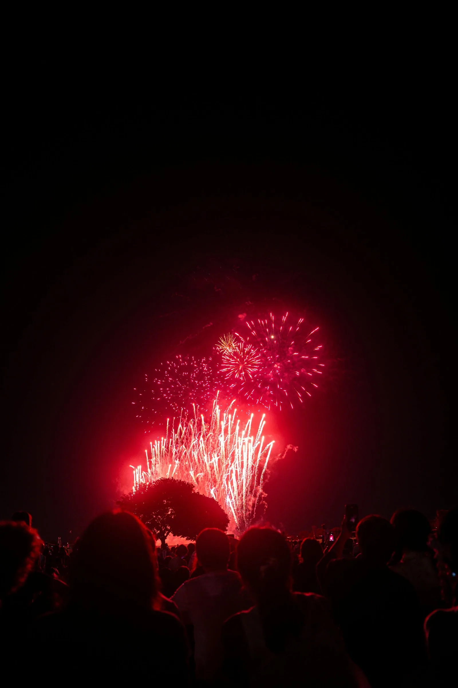 Large red summer hanabi fireworks display over a crowd silhouetted in the foreground