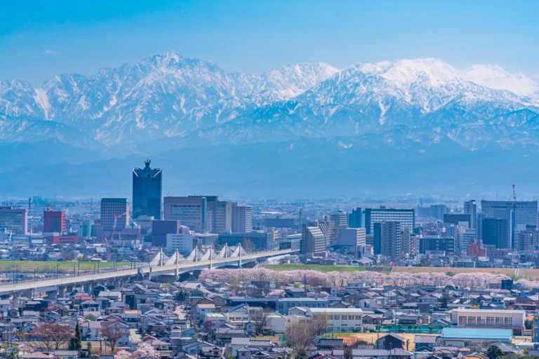 Toyama city with spring cherry blossoms in foreground and snow-capped Tateyama mountain range behind