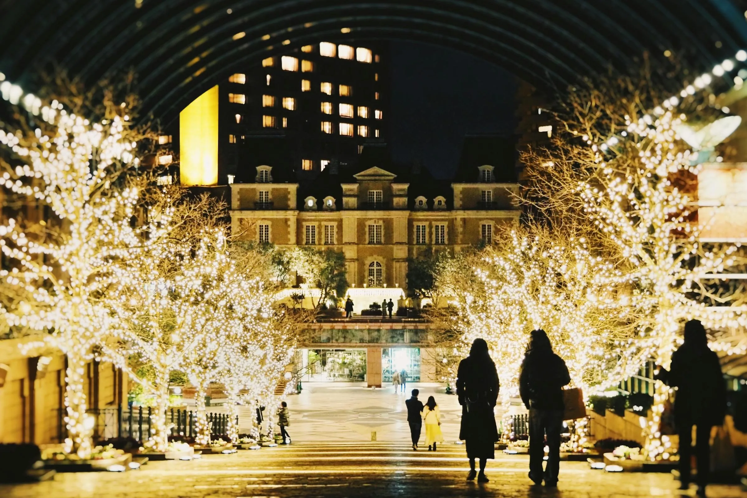 Tree-lined walkway covered in winter illumination lights at a Tokyo Christmas market