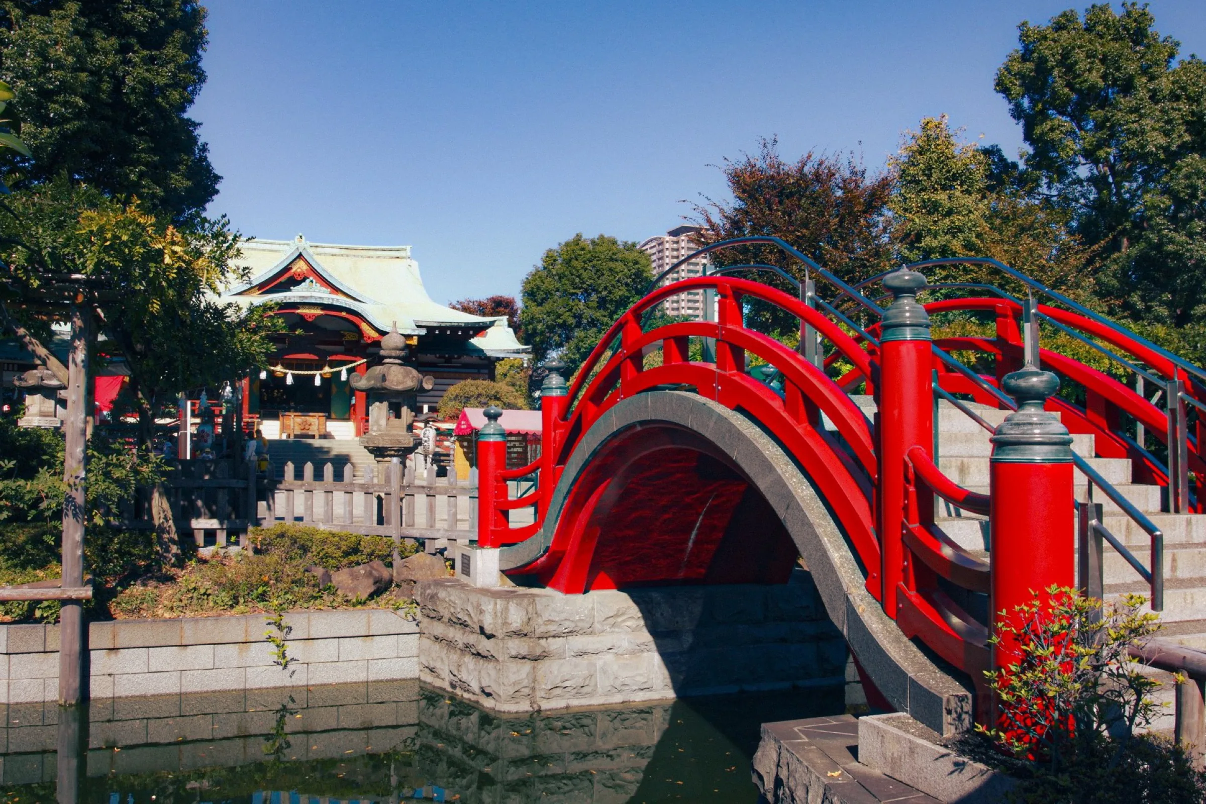 Red taiko-bashi arched bridge at Kameido Tenjin Shrine Tokyo, famous for plum and wisteria seasons