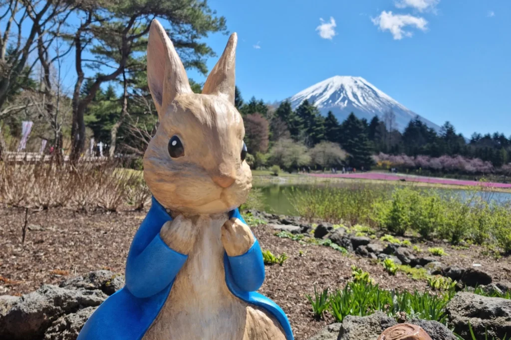 Wooden Peter Rabbit sculpture in front of pink shibazakura moss and snow-capped Mt. Fuji, Fuji Shibazakura Festival in Yamanashi