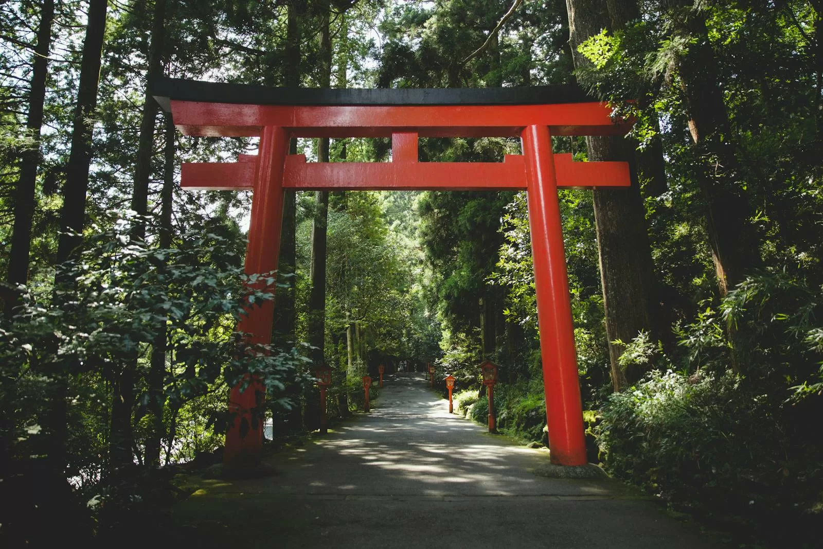 Bright red torii gate leading into a lush forested shrine approach