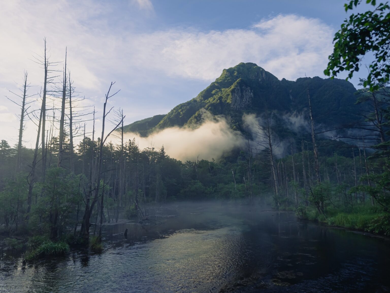 Dead standing trees silhouetted against morning mist with mountain peaks emerging above clouds at Kamikochi dawn