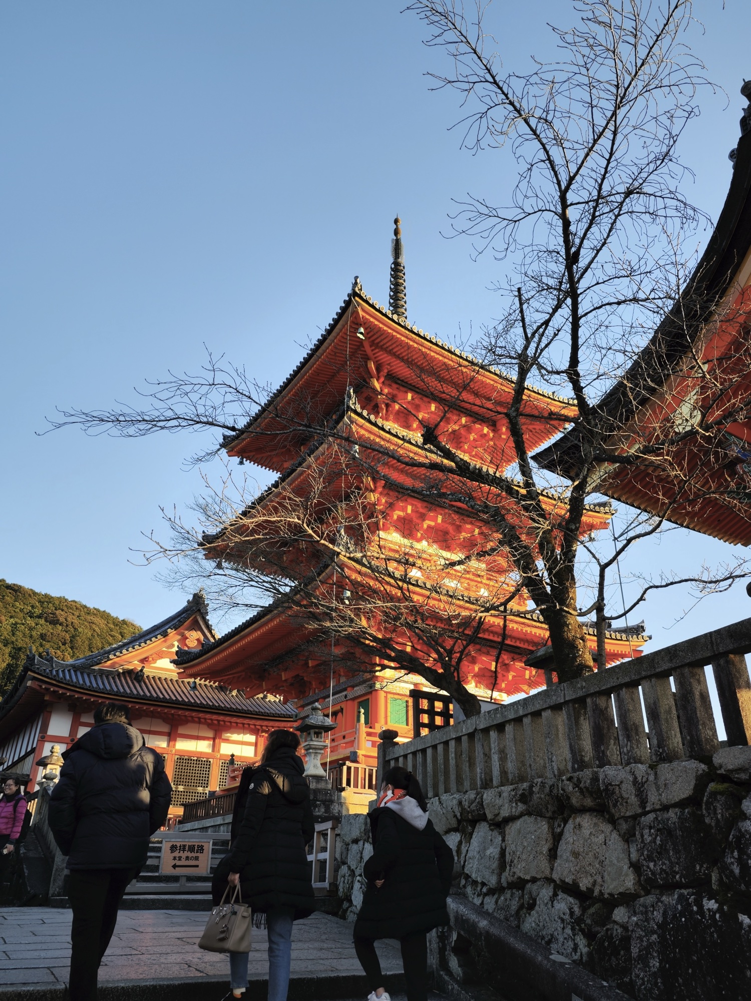 Three-story Koyasu Pagoda at Kiyomizudera with bare winter branches in late afternoon sun