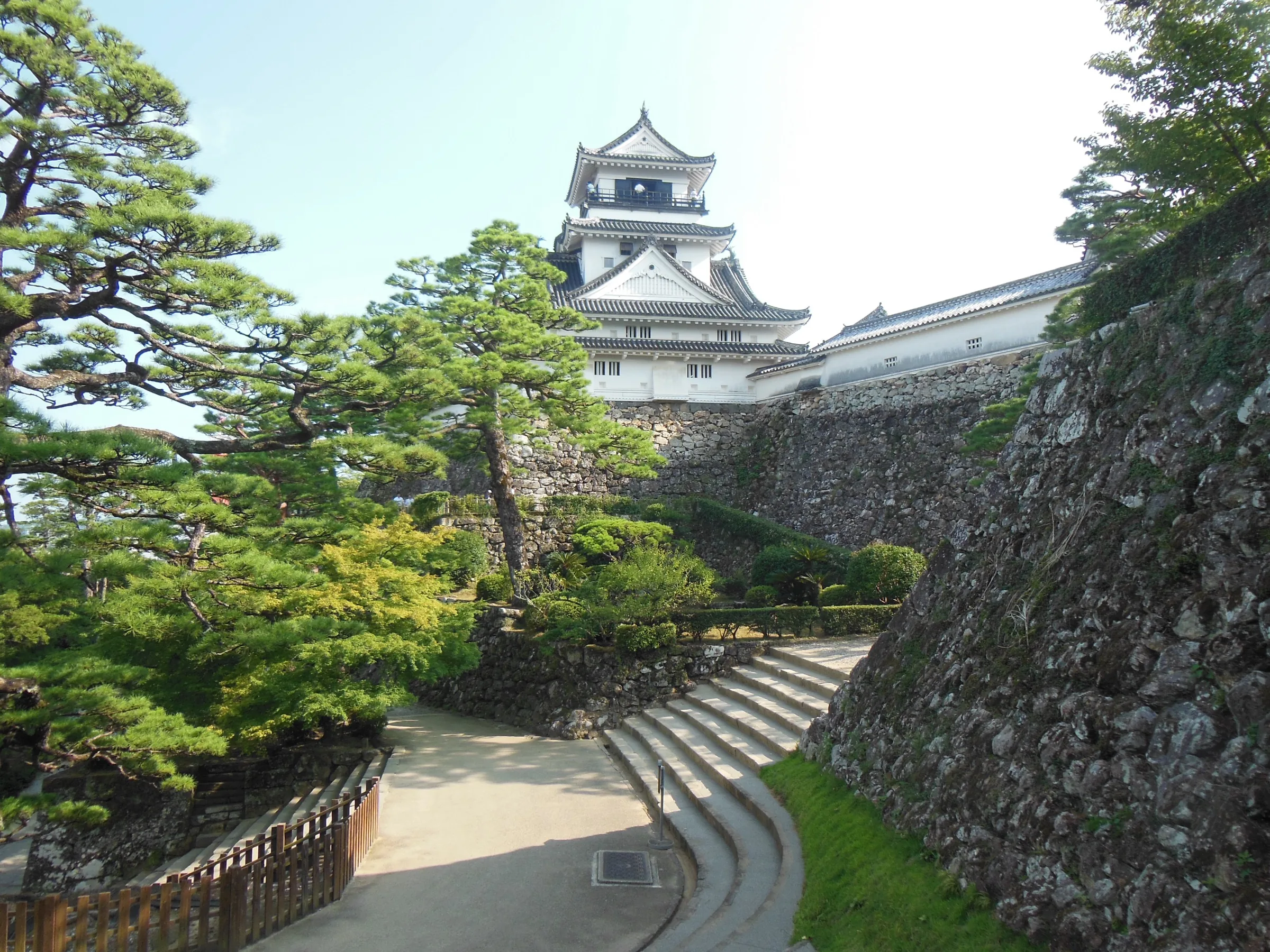 Kochi Castle original donjon with stone walls and pine trees in the inner garden