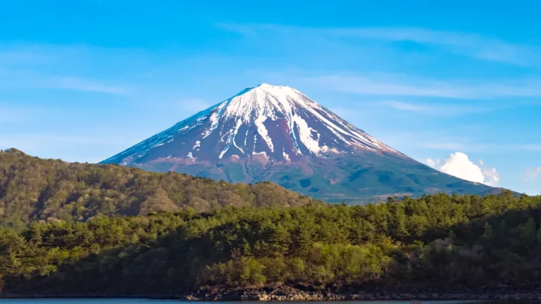 Mt Fuji perfectly centered behind forested Lake Saiko shoreline