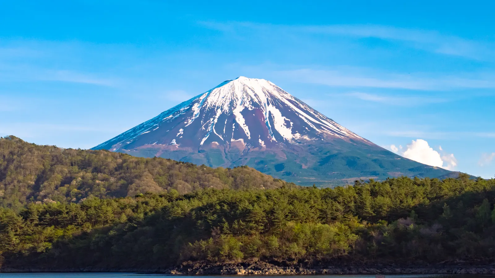 Mt Fuji perfectly centered behind forested Lake Saiko shoreline