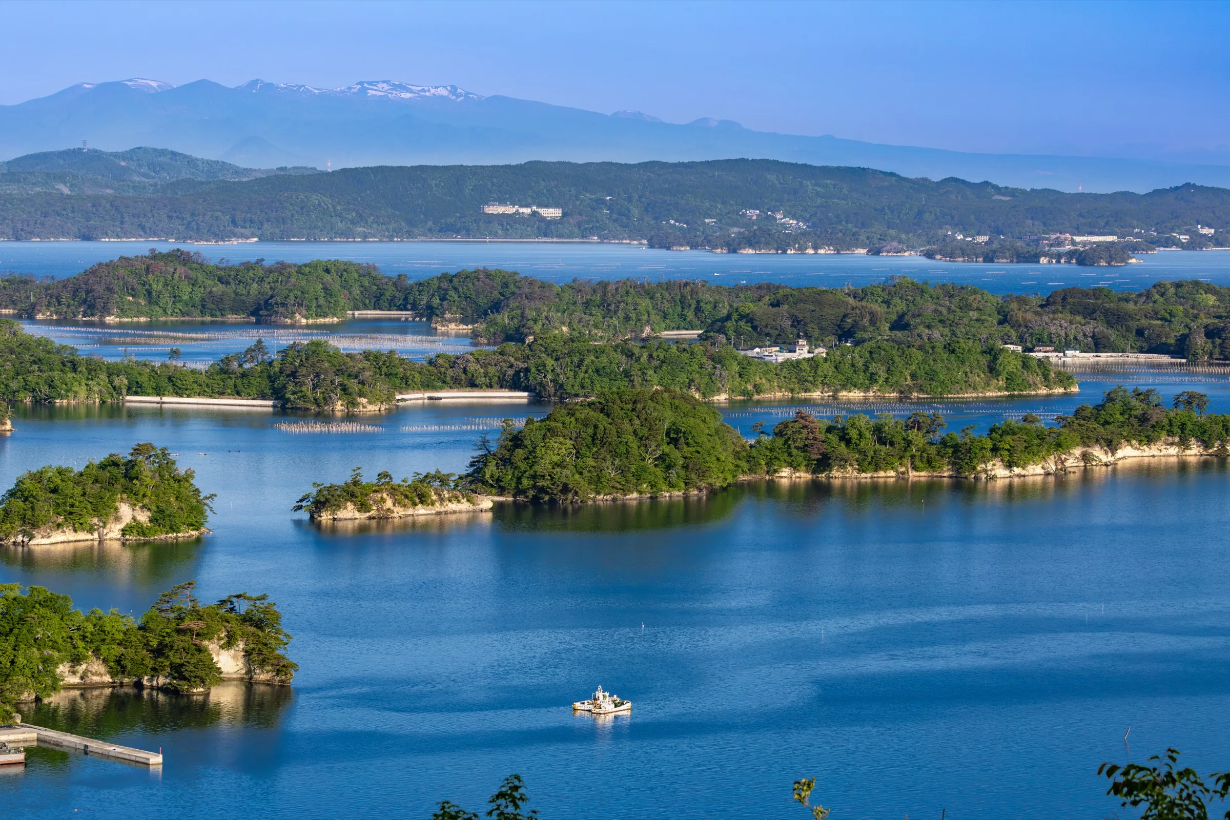 Pine-covered islands scattered across the calm waters of Matsushima Bay seen from a hilltop viewpoint