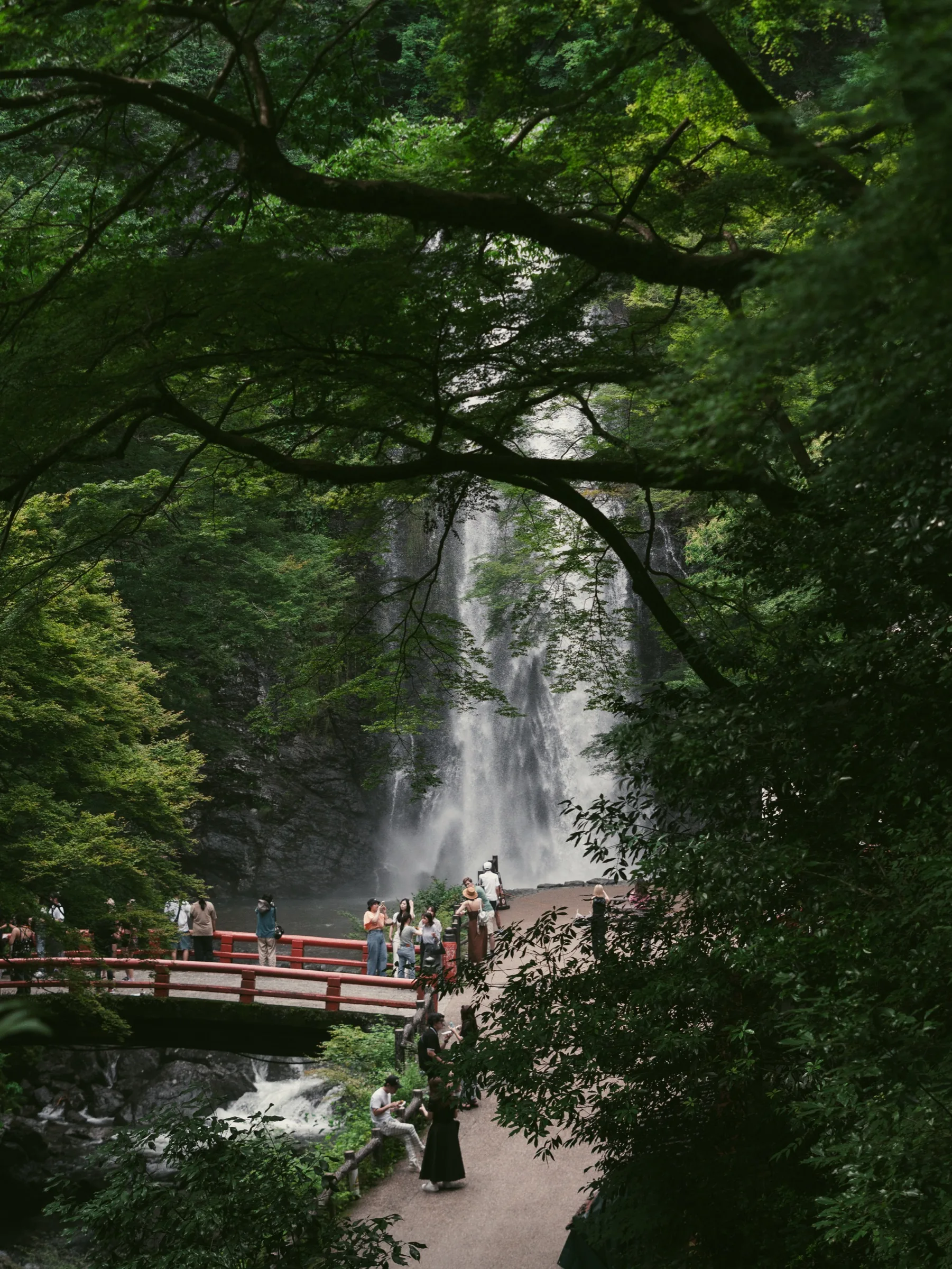 Visitors on the red Minoo bridge looking up at the 33m waterfall in summer