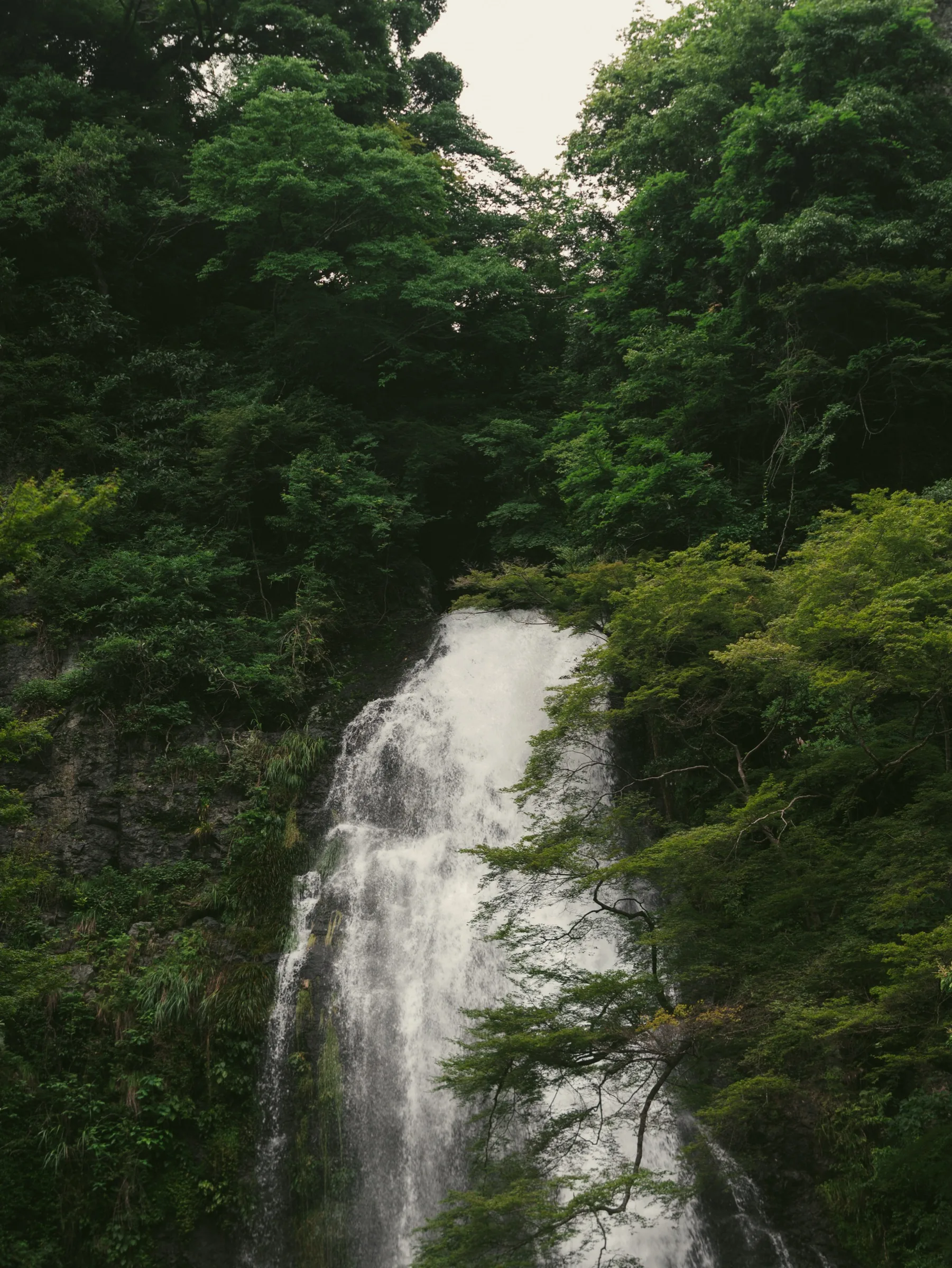 Detail of Minoo Falls showing the white water against the dark cliff and trees