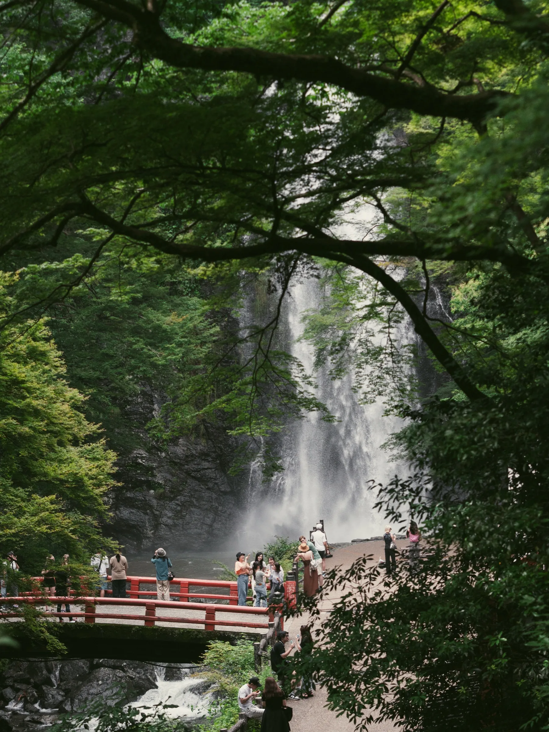 Minoo Falls seen from the Takimichi trail framed by maple branches