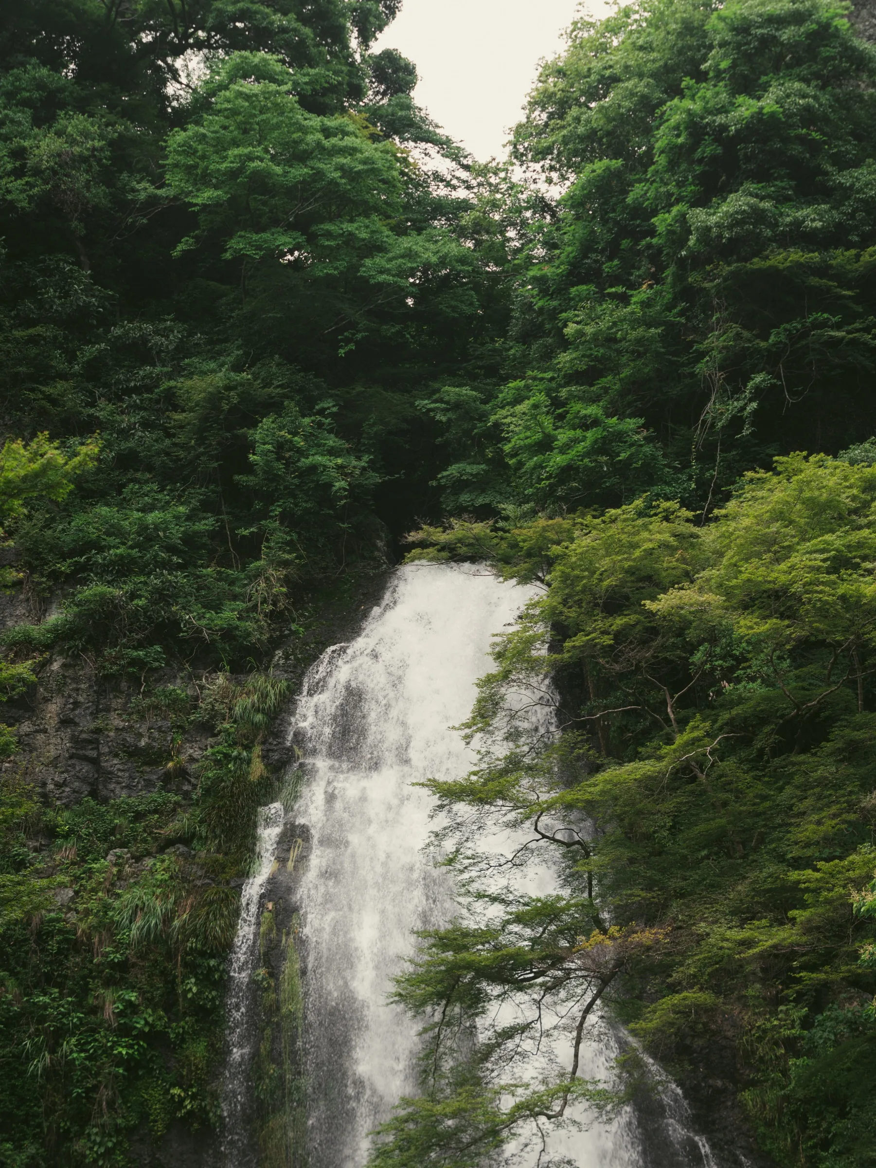 Upper section of Minoo Falls where water plunges from the cliff edge