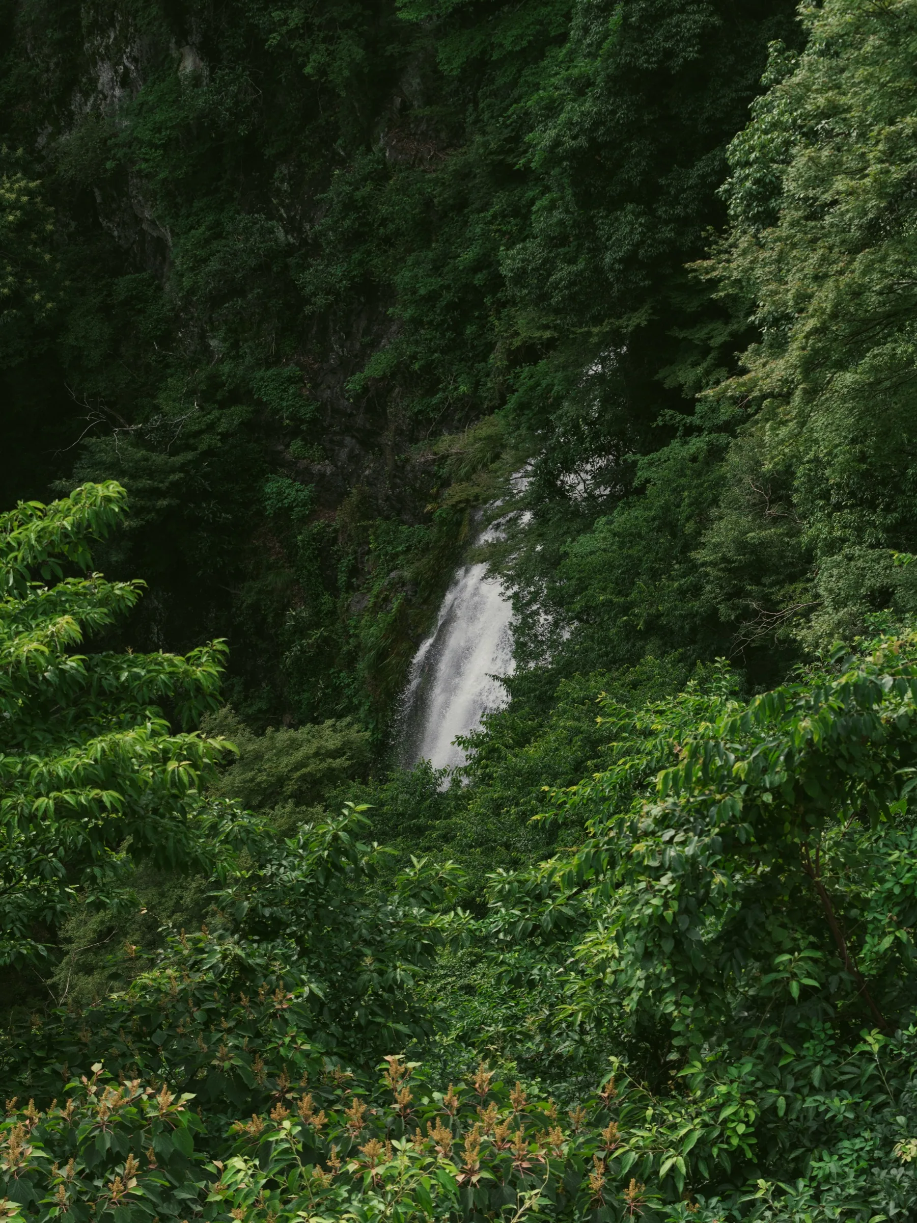Vertical view of Minoo Falls dropping 33 meters down the cliff face